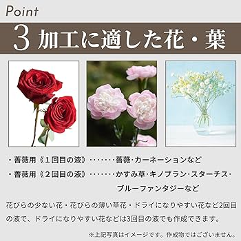 Amazon.co.jp: ［京華クラフト］プリザーブドフラワー加工液